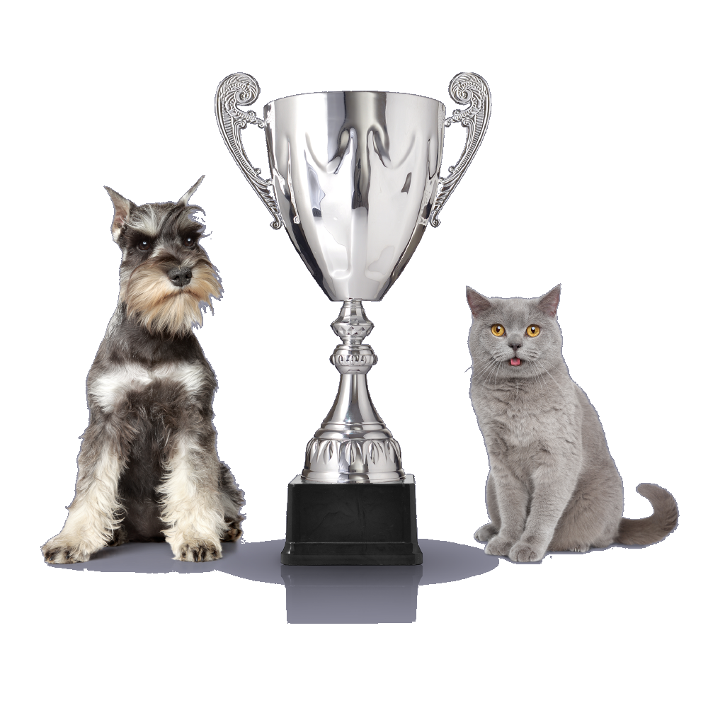 Champion Mobile Pet Grooming